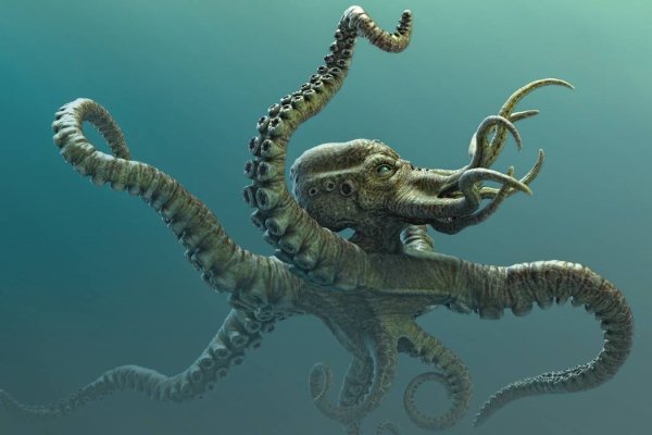 Ссылки на kraken зеркала